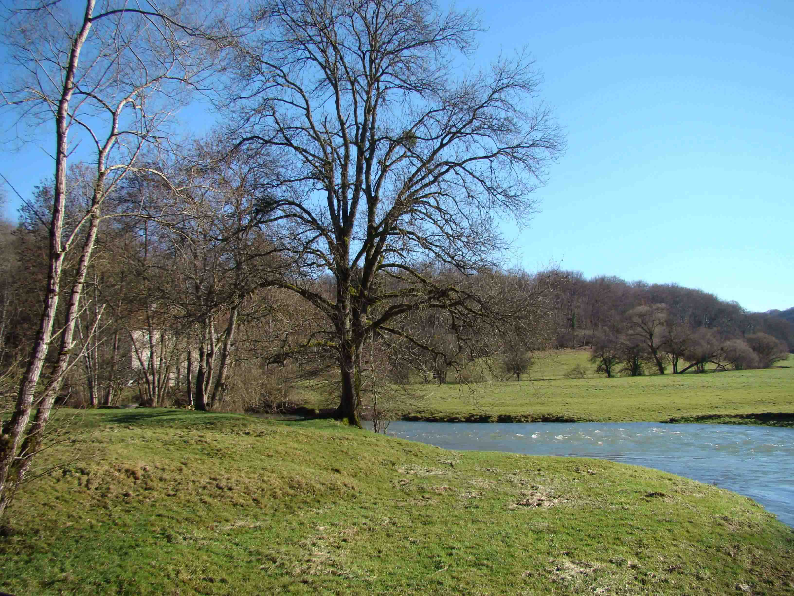 Centre de Gestion de la haute Marne