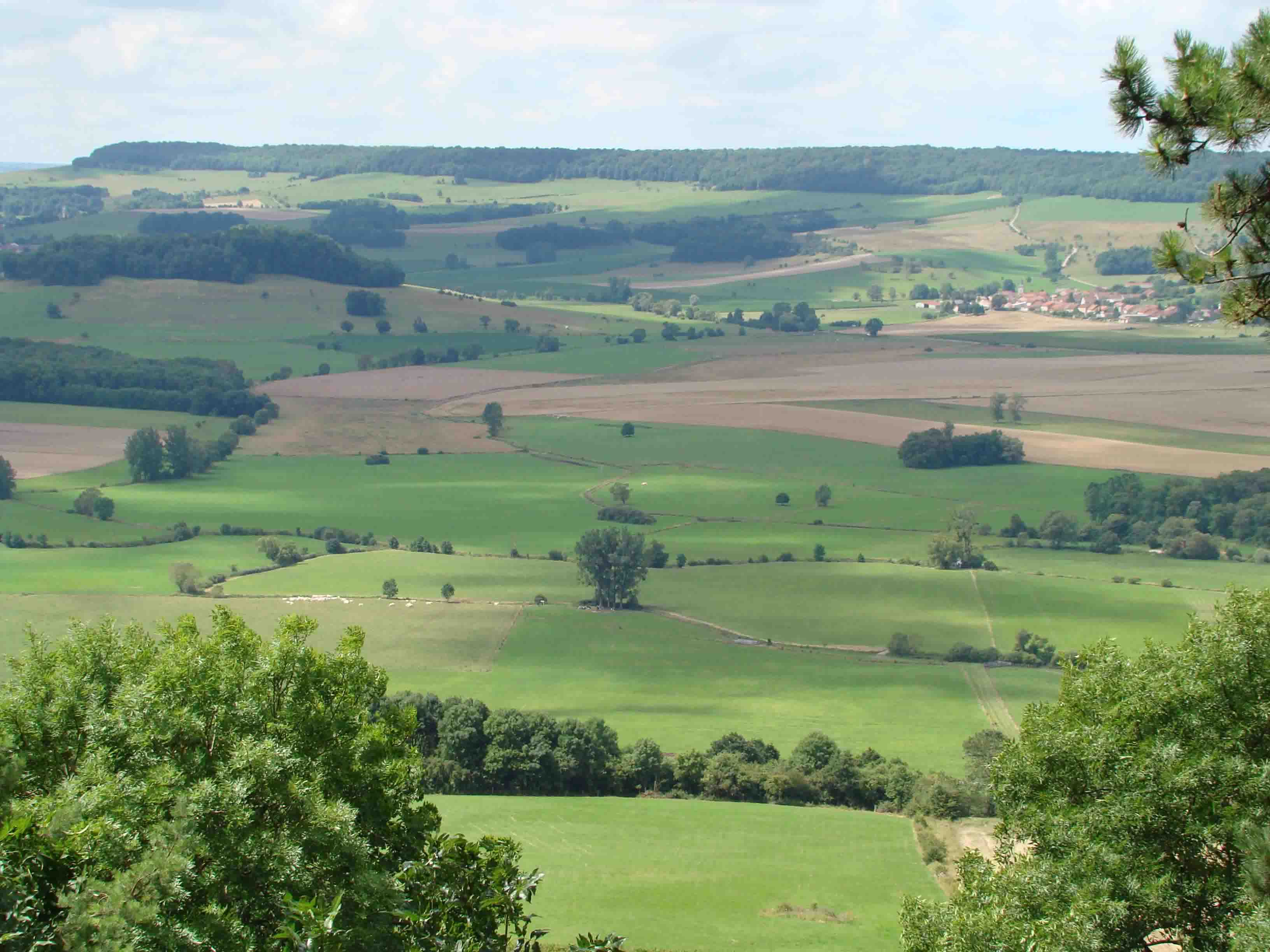 Centre de Gestion de la haute Marne